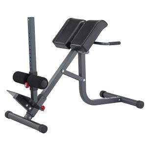 Купить Гиперэкстензия 2 в 1 (римский стул) Body Craft F670 в Новосибирске 